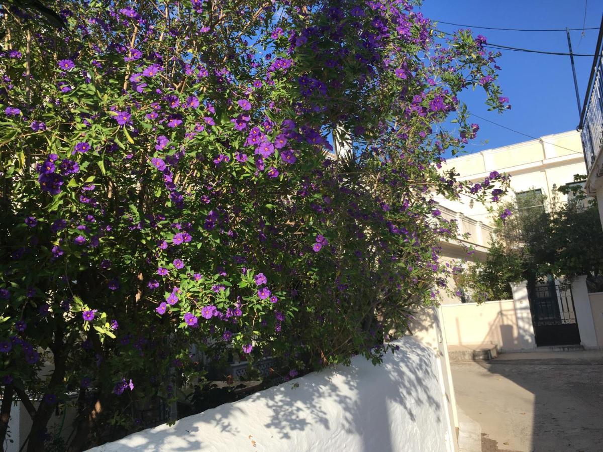 דירות Ligoneri Toula'S House 2 מראה חיצוני תמונה