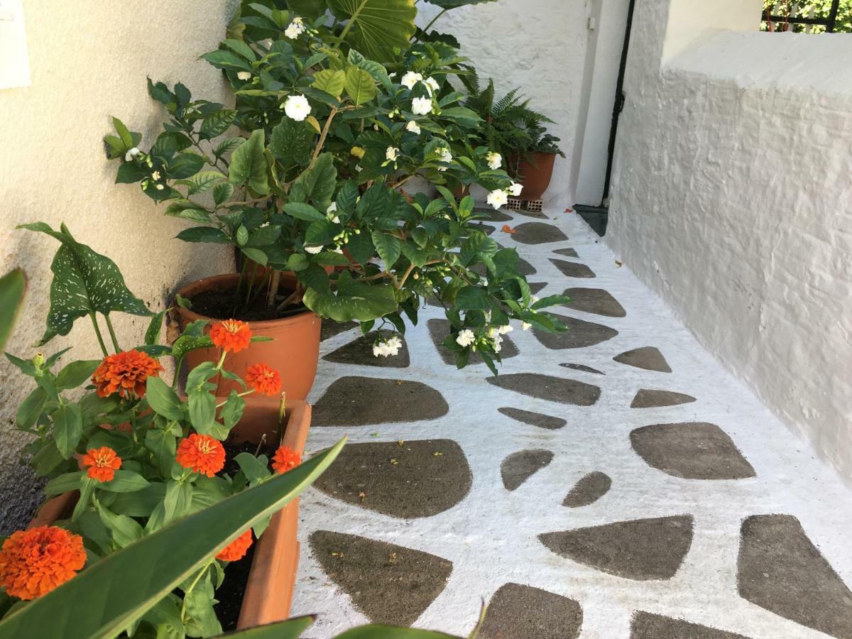 דירות Ligoneri Toula'S House 2 מראה חיצוני תמונה
